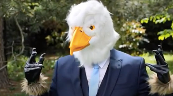bird-1.png